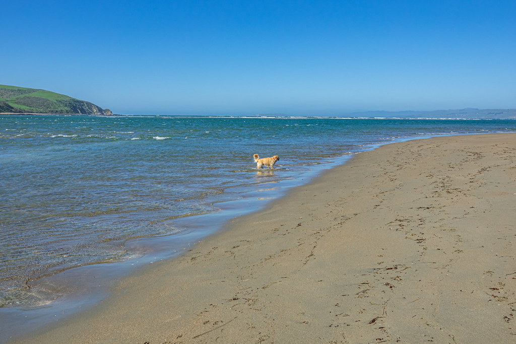 Lawson's Bay Beach: A Tranquil Escape in Visakhapatnam