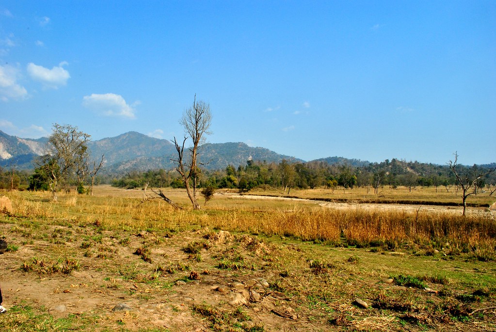 Rajaji National Park: A Wildlife Paradise in Uttarakhand