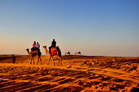 Camel Safari in Jodhpur: An Unforgettable Desert Adventure