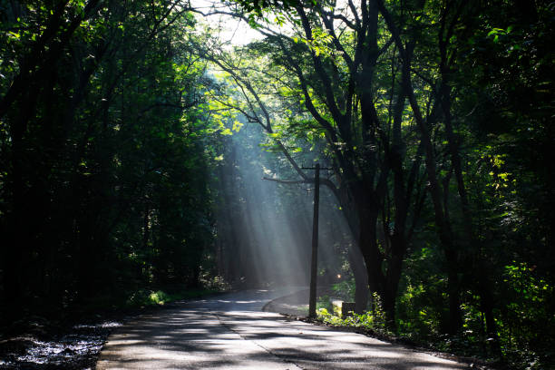 Sanjay Gandhi National Park, Mumbai