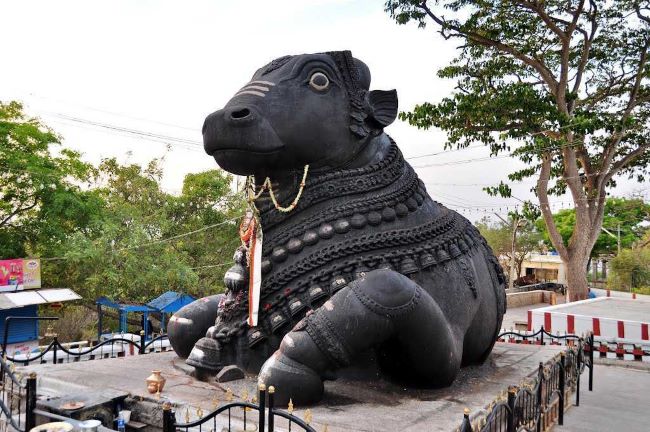 Bull Temple, Bangalore: A Spiritual Landmark for Shiva Devotees