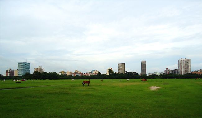 Explore Maidan: Kolkata's Majestic Urban Oasis