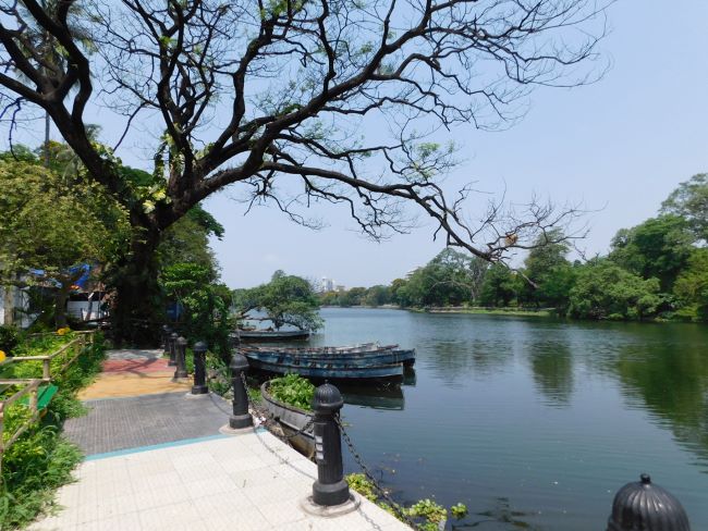 Rabindra Sarobar (Dhakuria Lake): A Peaceful Retreat in South Kolkata