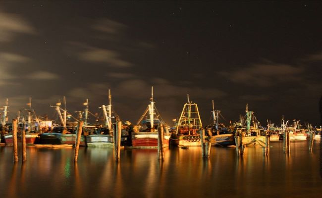 Royapuram Fishing Harbour: Chennai’s Bustling Seafood Hub