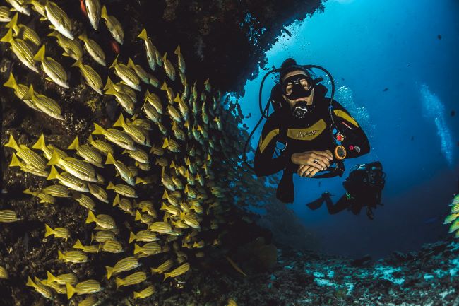 Scuba Diving in Chennai: Explore the Underwater Wonders of the Bay of Bengal