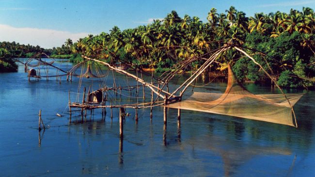 Kumbalangi: Eco-Tourism Village of Backwaters & Bioluminescence