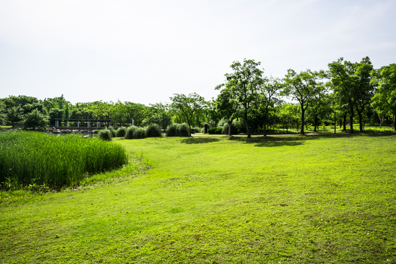 Choppati: Surat’s Historic Garden and Musical Fountain