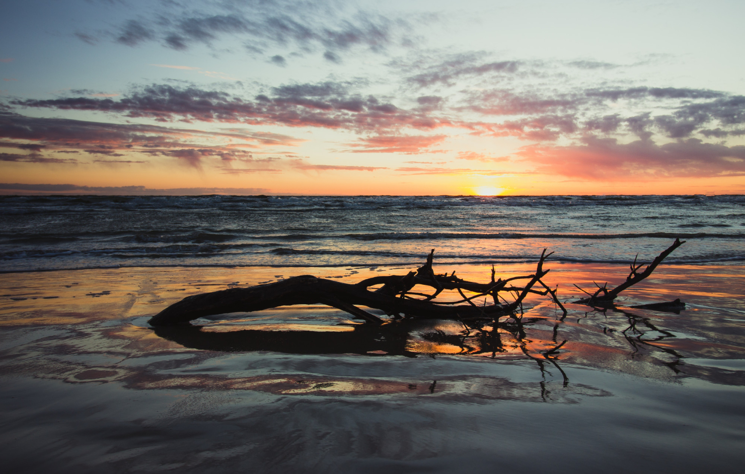 Dandi Beach: A Historic Retreat by the Arabian Sea