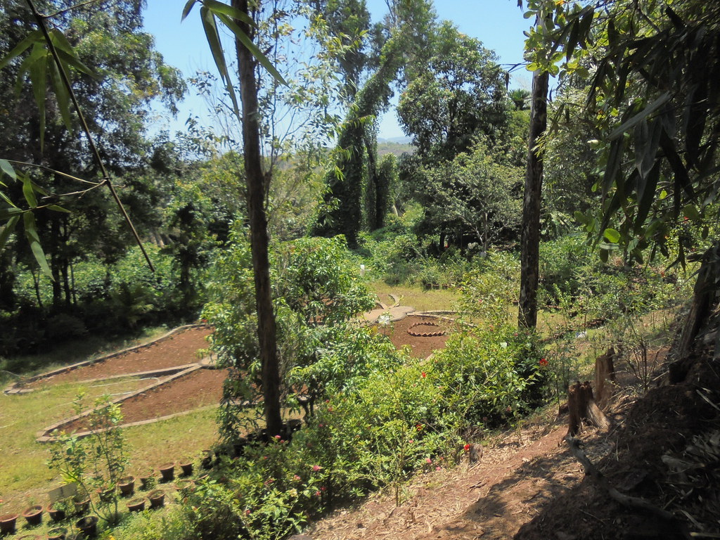 Butterfly Conservatory of Goa: A Magical Garden of Colors