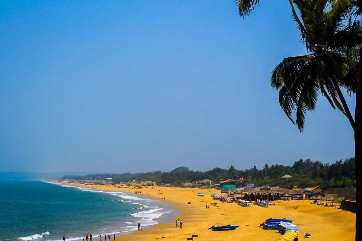 Candolim Beach: A Perfect Blend of Serenity and Adventure in Goa