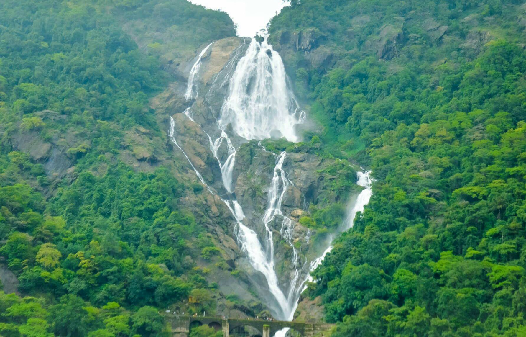 Dudhsagar Falls: Goa's Majestic "Sea of Milk"