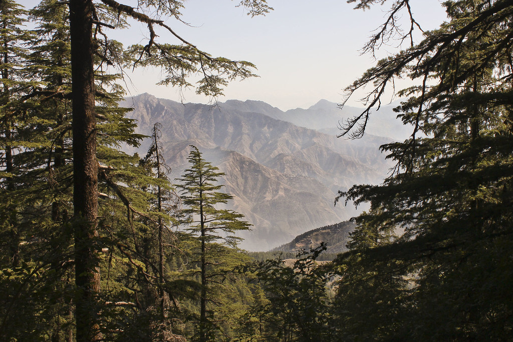 Green Valley, Shimla: A Serene Escape Into Nature