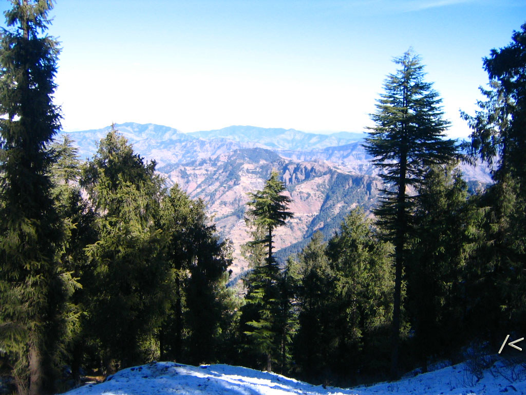 Kufri: A Winter Wonderland and Adventure Hub near Shimla