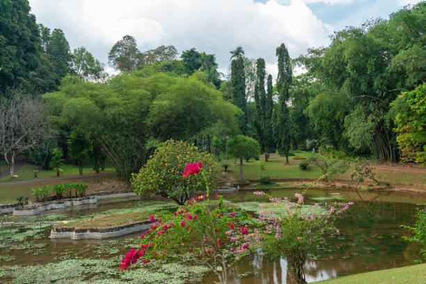 Regional Science Centre, Bhubaneswar: A Hub of Learning and Discovery