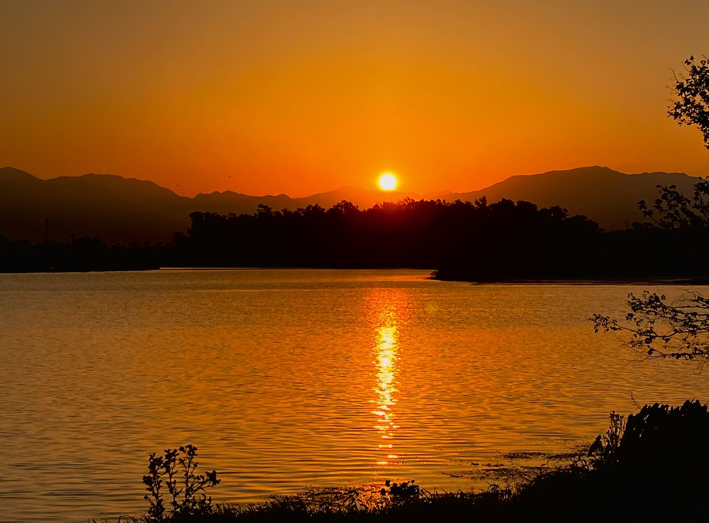 Assan Barrage: A Birdwatcher's Paradise in Dehradun