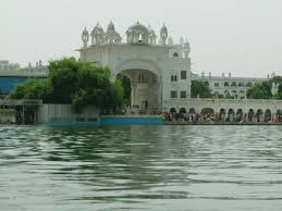 Dukh Bhanjani Ber Tree: A Sacred Symbol of Healing and Faith