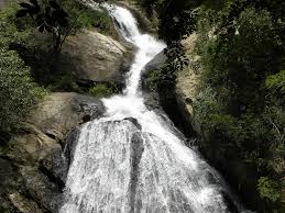 Vydehi Falls, Coimbatore: A Hidden Gem of Nature