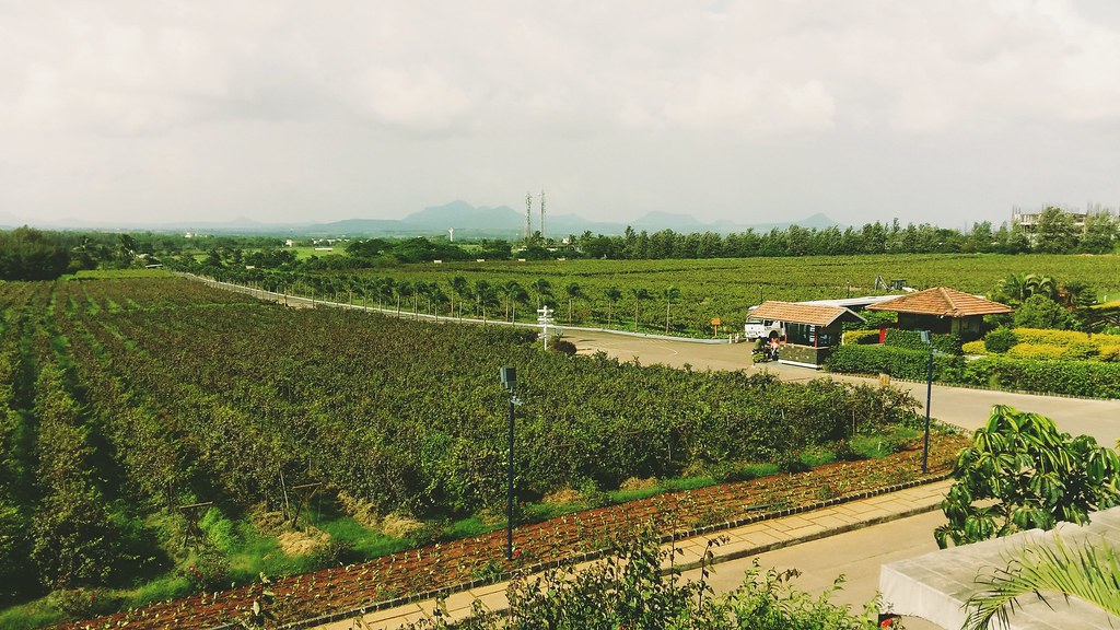 Sula Vineyard, Nashik: A Premier Wine-Tasting Experience