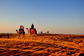 Camel Safari in Jodhpur: An Unforgettable Desert Adventure