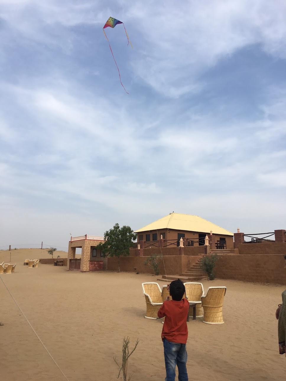 Jodhpur International Desert Kite Festival: A Sky Full of Colors