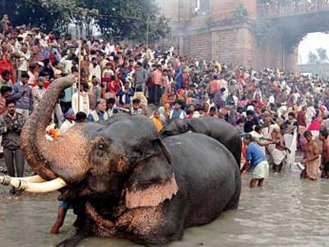 Sonepur Mela, Patna: Asia’s Largest Animal Fair