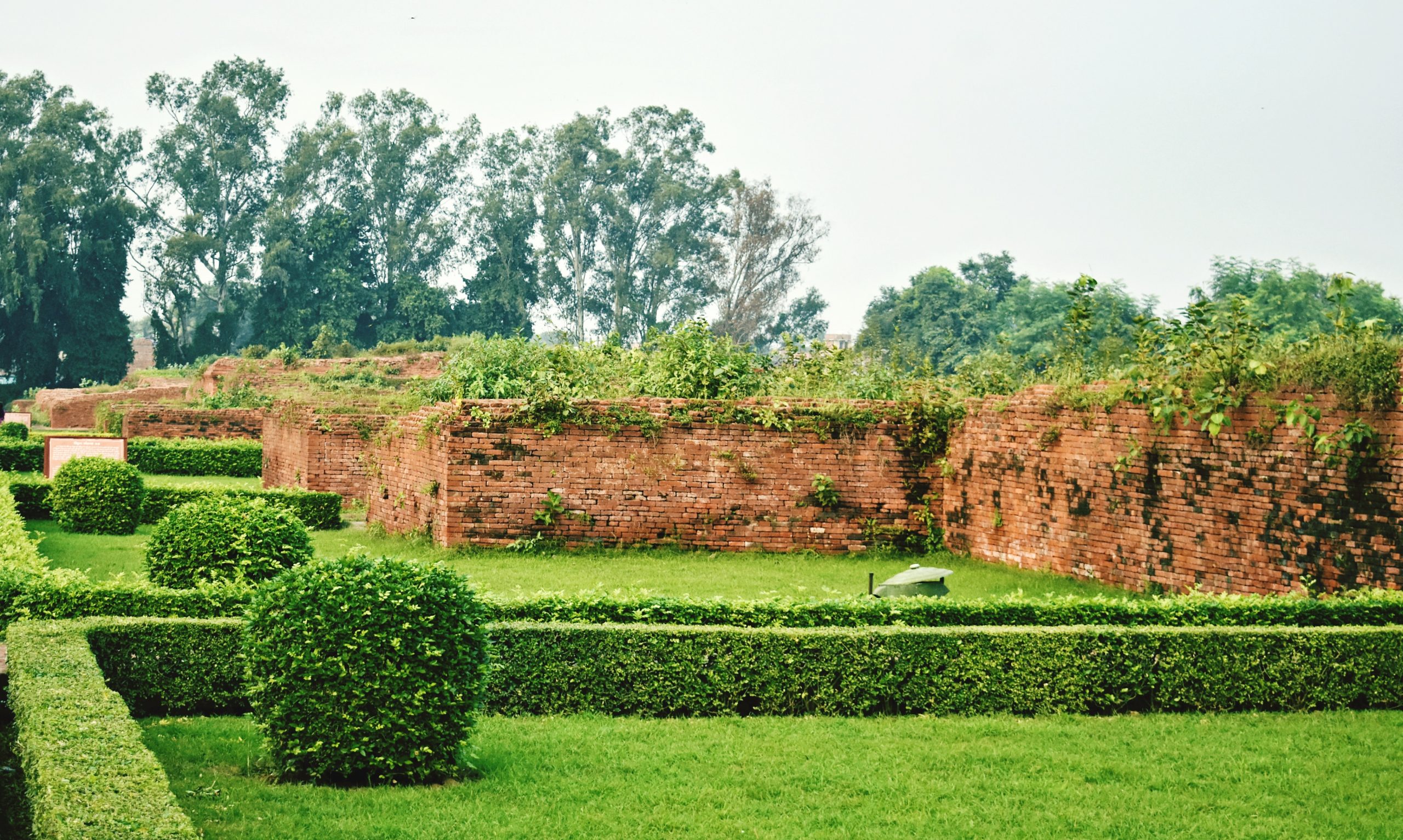 Explore the Vibrant Beauty of Chandigarh's Rose Garden