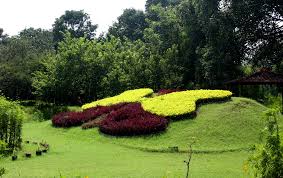 Explore the Beauty of Butterfly Park, Chandigarh